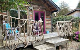 The Old Shed